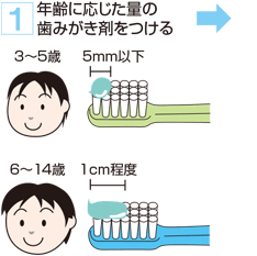 1. 年齢に応じた量の歯みがき剤をつける 3～5歳：5mm以下 6～14歳：1cm程度