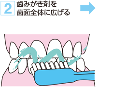 2. 歯みがき剤を歯面全体に広げる
