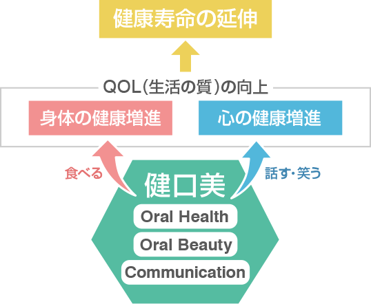 健口美→QOL（生活の質）の向上→健康寿命の延伸