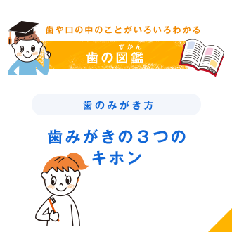 歯や口の中のことがいろいろわかる 歯の図鑑（ずかん） 歯のみがき方 歯みがきの3つのキホン