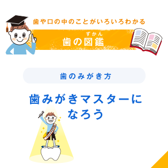 歯や口の中のことがいろいろわかる 歯の図鑑（ずかん） 歯のみがき方 歯みがきマスターになろう