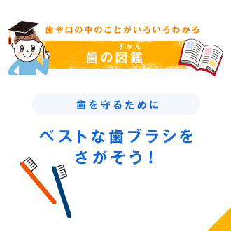 歯や口の中のことがいろいろわかる 歯の図鑑（ずかん） 歯を守るために ベストな歯ブラシをさがそう！