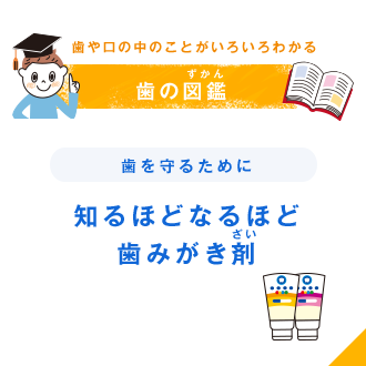 歯や口の中のことがいろいろわかる 歯の図鑑（ずかん） 歯を守るために 知るほどなるほど歯みがき剤（ざい）