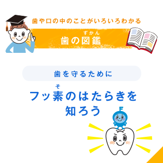 歯や口の中のことがいろいろわかる 歯の図鑑（ずかん） 歯を守るために フッ素（そ）のはたらきを知ろう