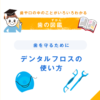 歯や口の中のことがいろいろわかる 歯の図鑑（ずかん） 歯を守るために デンタルフロスの使い方