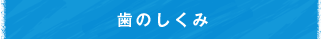 歯のしくみ