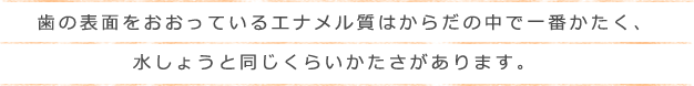 歯の表面をおおっているエナメル質はからだの中で一番かたく、水しょうと同じくらいかたさがあります。　