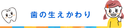 歯の生えかわり