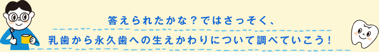 答えられたかな？ではさっそく、乳歯から永久歯への生えかわりについて調べていこう！