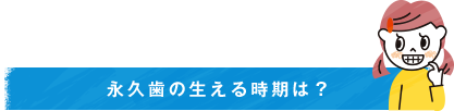 永久歯の生える時期は？