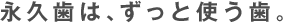 永久歯は、ずっと使う歯。