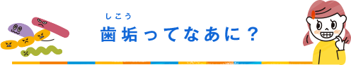 歯垢（しこう）ってなあに？