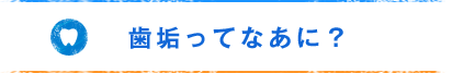 歯垢ってなあに？