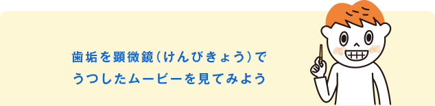 歯垢を顕微鏡（けんびきょう）でうつしたムービーを見てみよう