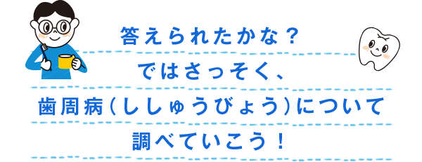 歯の図鑑 ずかん 小学生のみなさんへ 小学生歯みがき研究サイト 歯みがkids