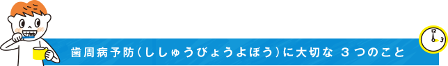 歯周病予防（ししゅうびょうよぼう）に大切な 3つのこと