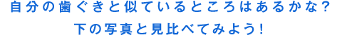 自分の歯ぐきと似ているところはあるかな？下の写真と見比べてみよう！