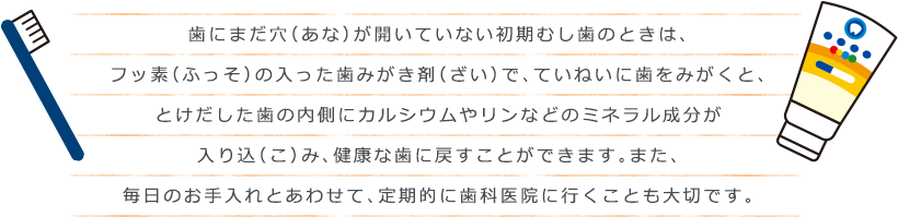 歯にまだ穴（あな）が開いていない初期むし歯のときは、
フッ素（ふっそ）の入った歯みがき剤（ざい）で、ていねいに歯をみがくと、とけだした歯の内側にカルシウムやリンなどのミネラル成分が入り込（こ）み、健康な歯に戻すことができます。また、毎日のお手入れとあわせて、定期的に歯科医院に行くことも大切です。