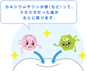 カルシウムやリンが戻（もど）って、スカスカだった歯がもとに戻ります。