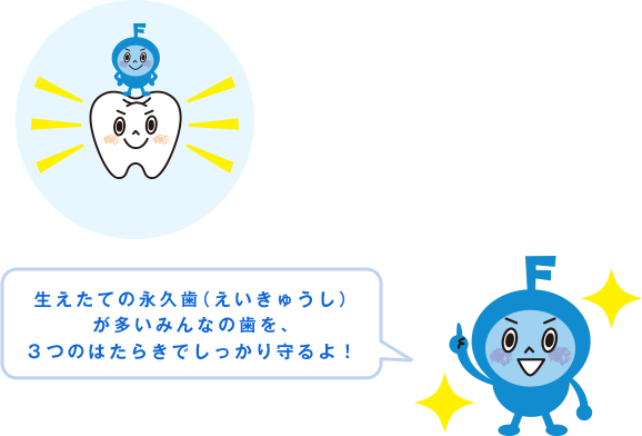 生えたての永久歯（えいきゅうし）が多いみんなの歯を、３つのはたらきでしっかり守るよ！