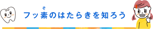 フッ素（そ）のはたらきを知ろう