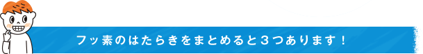 フッ素のはたらきをまとめると３つあります！