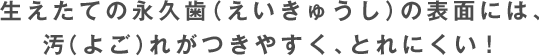 生えたての永久歯（えいきゅうし）の表面には、汚（よご）れがつきやすく、とれにくい！