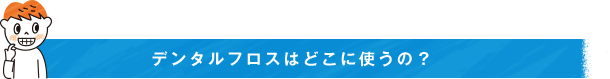 デンタルフロスはどこに使うの？