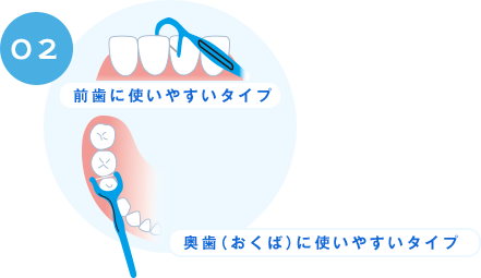 02 前歯に使いやすいタイプ 奥歯（おくば）に使いやすいタイプ