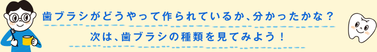 歯ブラシがどうやって作られているか、分かったかな？次は、歯ブラシの種類を見てみよう！