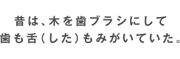 昔は、木を歯ブラシにして歯も舌（した）もみがいていた。