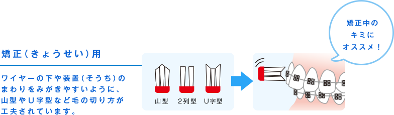 矯正（きょうせい）用 ワイヤーの下や装置（そうち）のまわりをみがきやすいように、山型やＵ字型など毛の切り方が工夫されています。 矯正中のキミにオススメ！