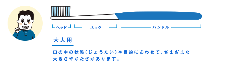 大人用 口の中の状態（じょうたい）や目的にあわせて、さまざまな大きさやかたさがあります。