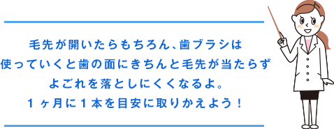 毛先が開いたらもちろん、歯ブラシは使っていくと歯の面にきちんと毛先が当たらずよごれを落としにくくなるよ。1ヶ月に１本を目安に取りかえよう！