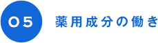 05 薬用成分の働き