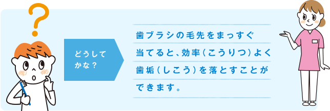 どうしてかな？ 歯ブラシの毛先をまっすぐ当てると、効率（こうりつ）よく歯垢（しこう）を落とすことができます。