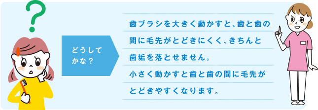 どうしてかな？ 歯ブラシを大きく動かすと、歯と歯の間に毛先がとどきにくく、きちんと歯垢を落とせません。小さく動かすと歯と歯の間に毛先がとどきやすくなります。