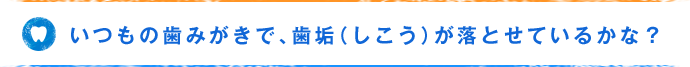 いつもの歯みがきで、歯垢（しこう）が落とせているかな？