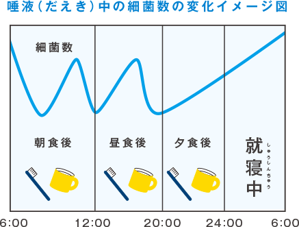 唾液（だえき）中の細菌数の変化イメージ図