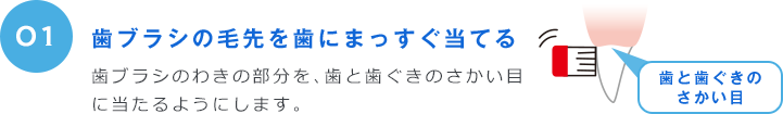 01 歯ブラシの毛先を歯にまっすぐ当てる 歯ブラシのわきの部分を、歯と歯ぐきのさかい目に当たるようにします。 歯と歯ぐきのさかい目