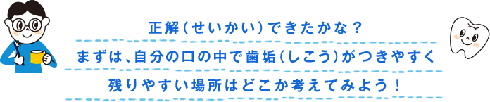 正解（せいかい）できたかな？まずは、自分の口の中で歯垢（しこう）がつきやすく残りやすい場所はどこか考えてみよう！