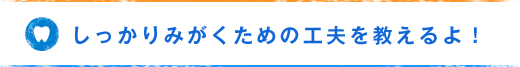 しっかりみがくための工夫を教えるよ！