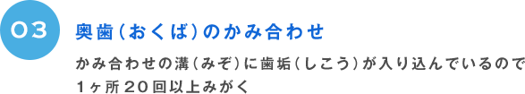 03 奥歯（おくば）のかみ合わせ かみ合わせの溝（みぞ）に歯垢（しこう）が入り込んでいるので1ヶ所20回以上みがく