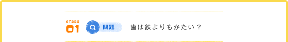 STAGE 01 Q問題 歯は鉄よりもかたい?