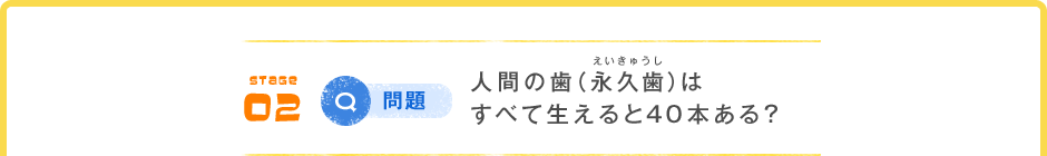 STAGE 02 Q問題 人間の歯（永久歯（えいきゅうし））はすべて生えると40本ある？