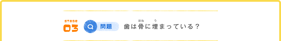 STAGE 03 Q問題 歯は骨（ほね）に埋（う）まっている？