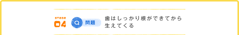 STAGE 04 Q問題 歯はしっかり根ができてから生えてくる