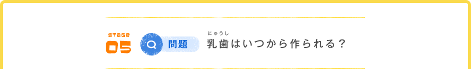 STAGE 05 Q問題 乳歯はいつから作られる？