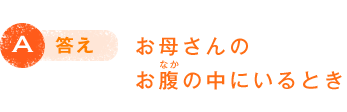 A答え お母さんのお腹（なか）の中にいるとき