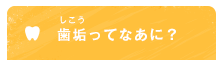 歯垢（しこう）ってなあに？